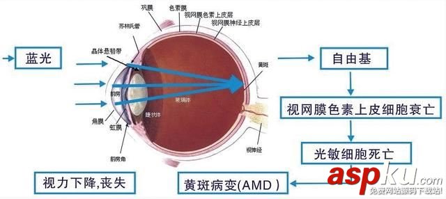 護眼顯示器