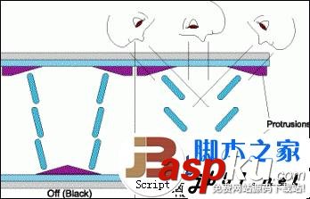 顯示屏,硬屏,軟屏,區別