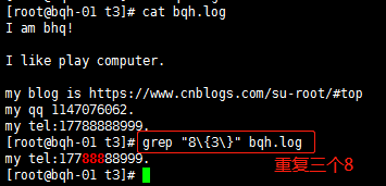 linux,正則表達式