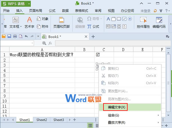 WPS表格2013中多種方法輸入帶鉤方框