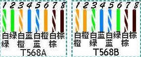 網線標準線序