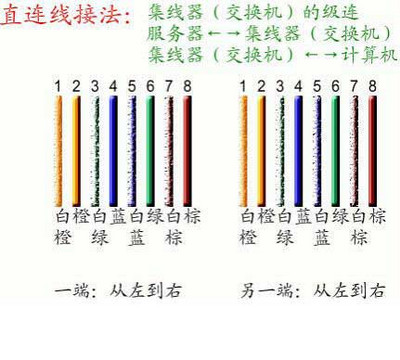 網線接頭順序是什么