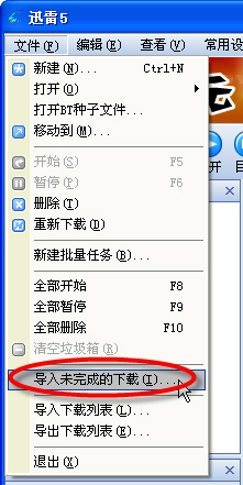 誓做下載多面手迅雷支持BT和電騾導入功能_武林網VeVB.COm轉載