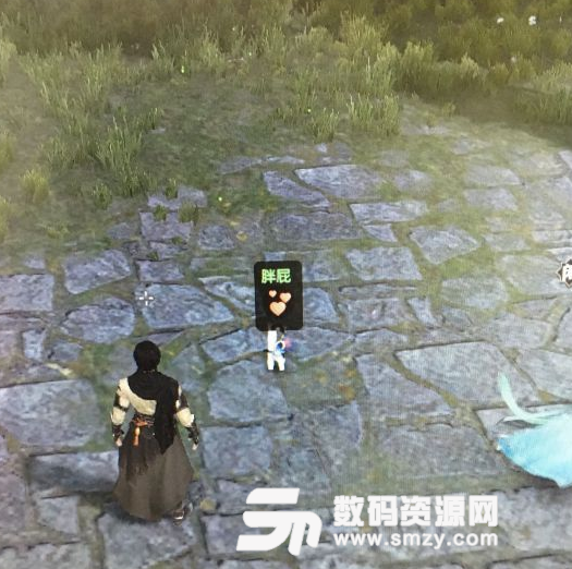 逆水寒神侯府貓寵攻略筆記