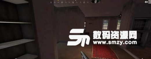 絕地求生FPP模式與TPP模式區(qū)別解析