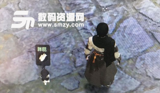 逆水寒神侯府貓寵攻略筆記說明