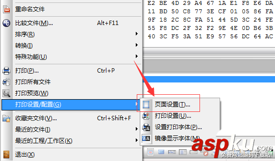 ultraedit,頁眉