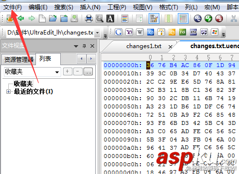 ultraedit,頁眉