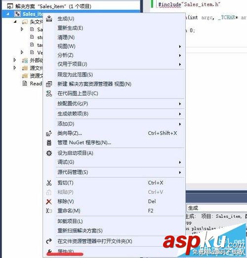 VS2013,文件,源文件