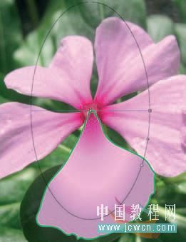 Flash cs3教程：仿真藝術(shù)設(shè)計1.13――漸變填充實現(xiàn)寫實效果的技巧_中國教程網(wǎng)