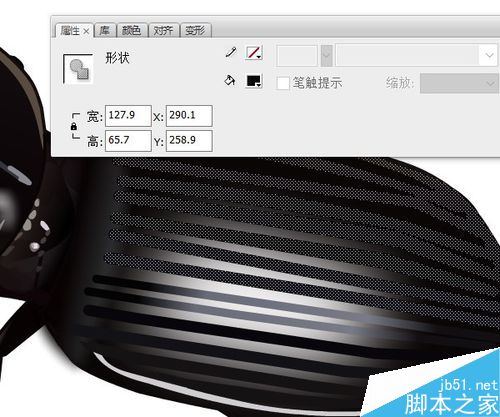 flash繪制昆蟲――螻步甲