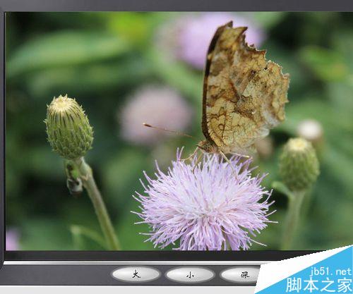 flash按鈕控制實例――改變圖片大小深淺
