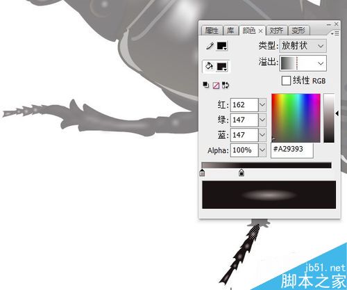 flash繪制昆蟲――螻步甲
