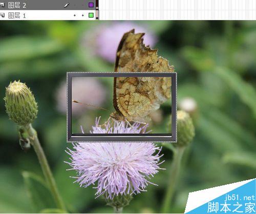 flash按鈕控制實例――改變圖片大小深淺