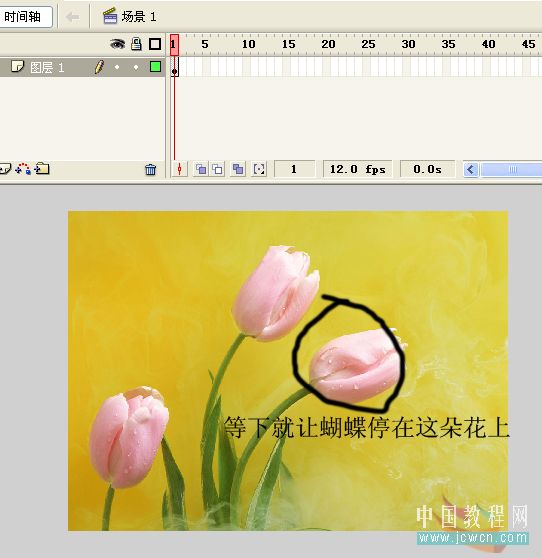 關于影片剪輯在主場景中位置修改的Flash技巧_武林網VeVB.COm網絡轉載