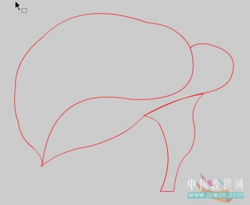馬蹄蓮制作過程