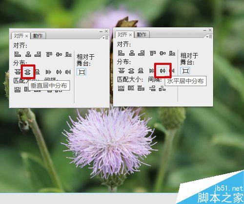 flash按鈕控制實例――改變圖片大小深淺