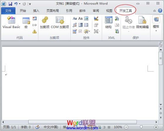 開發(fā)工具選項(xiàng)卡