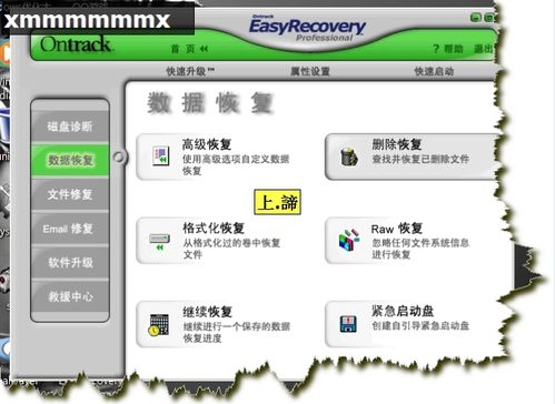 EasyRecovery數據恢復軟件（使用圖解教程）