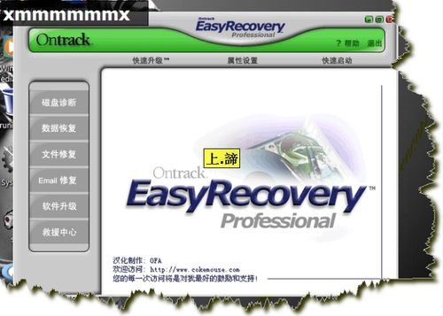 EasyRecovery數據恢復軟件（使用圖解教程）