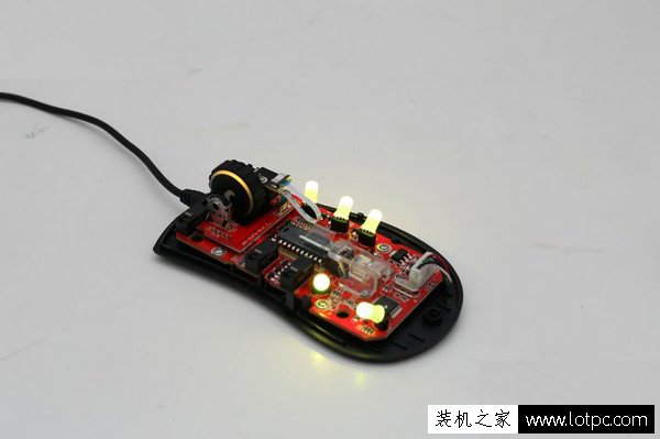 ducky Secret神秘國度！魔力鴨首款鼠標ducky Secret前瞻