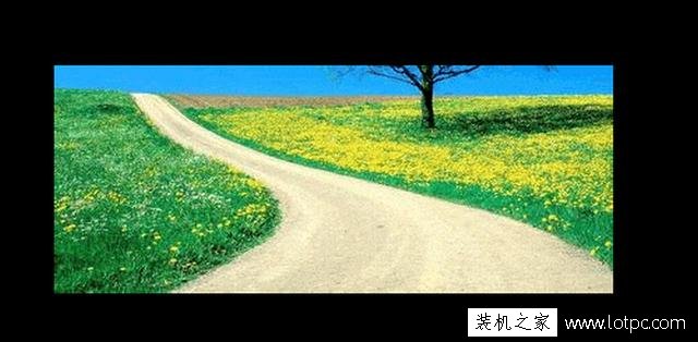 教你如何使用photoshop軟件將照片局部去色