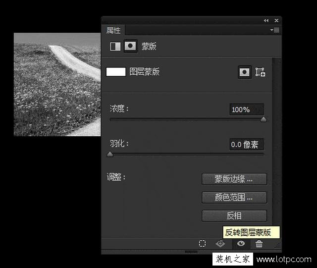 教你如何使用photoshop軟件將照片局部去色