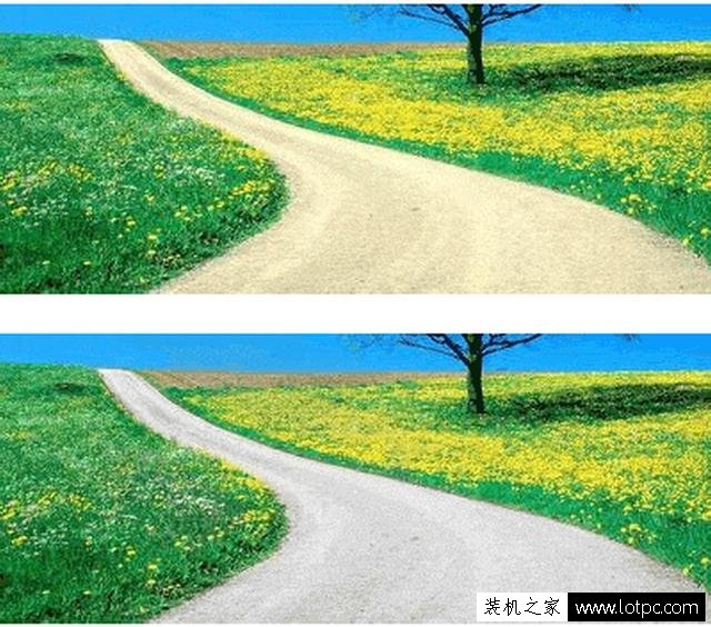 教你如何使用photoshop軟件將照片局部去色