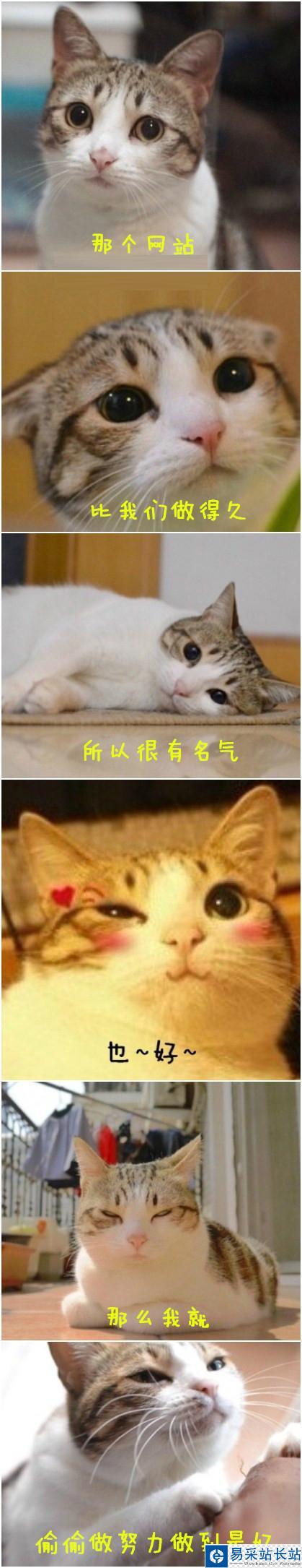教你用美圖秀秀拼出失戀六連拍 美圖秀秀拼圖教程