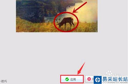 圖片標記添加的方法與技巧