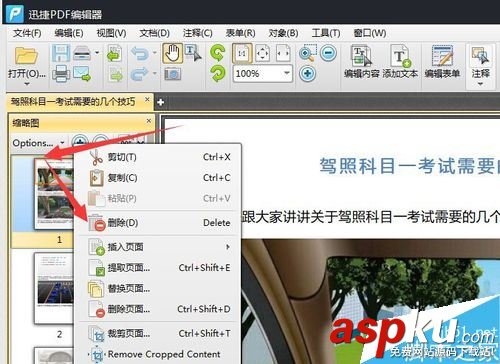 PDF,頁面