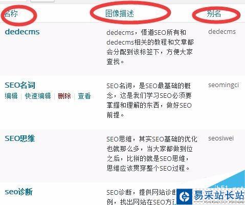wordpress標簽如何使用