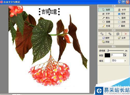 怎么樣用光影魔術手給圖片添加文字？