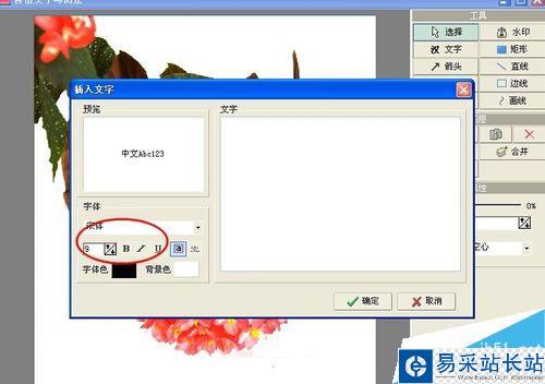 怎么樣用光影魔術手給圖片添加文字？