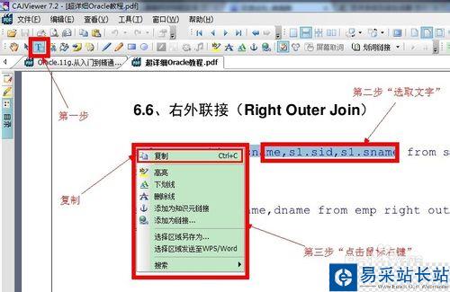 怎么復制PDF中的文字