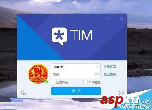 騰訊TIM,TIM