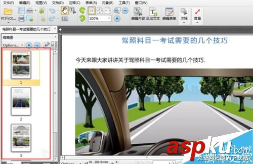 PDF,頁面