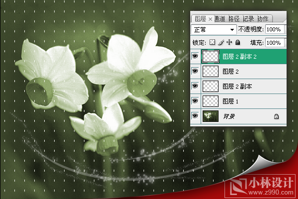 photoshop處理照片:花卉照片添加光線_webjx.com