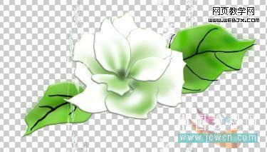 photoshop鼠繪教程：繪制康師傅茉莉清茶圖解_中國教程網(wǎng)