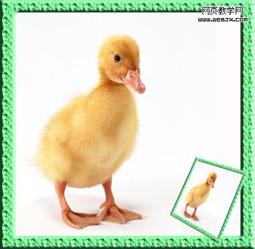 photoshop教程:簡單的邊框和畫中畫_webjx.com