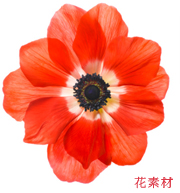 photoshop教程:可愛的華麗溫馨的兒童照片_網頁設計