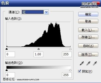 ps調色教程：金粉色調性感美女模特-網頁設計