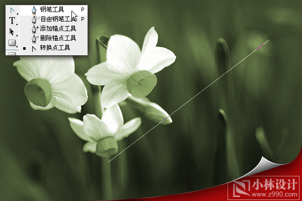 photoshop處理照片:花卉照片添加光線_webjx.com