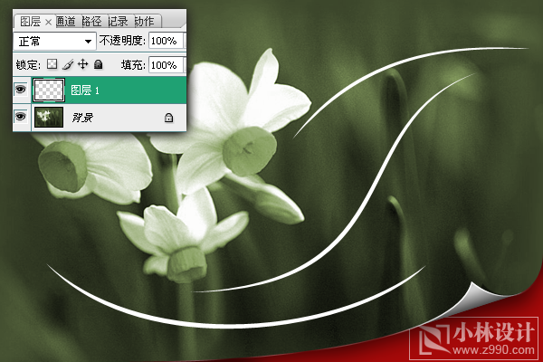 photoshop處理照片:花卉照片添加光線_webjx.com