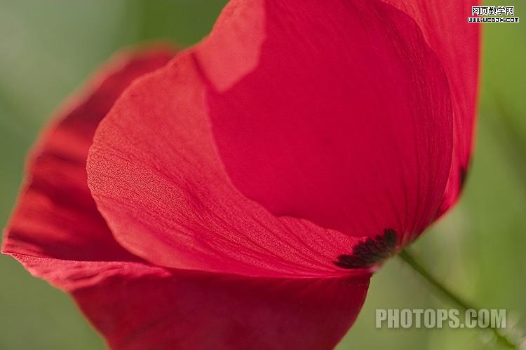 photoshop通道教程:修復通道調圖片-網頁設計