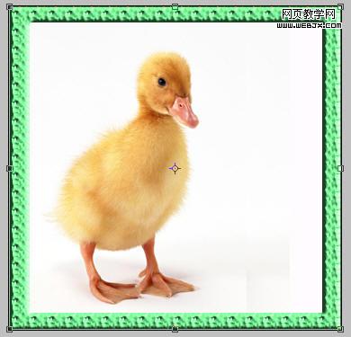 photoshop教程:簡單的邊框和畫中畫_webjx.com