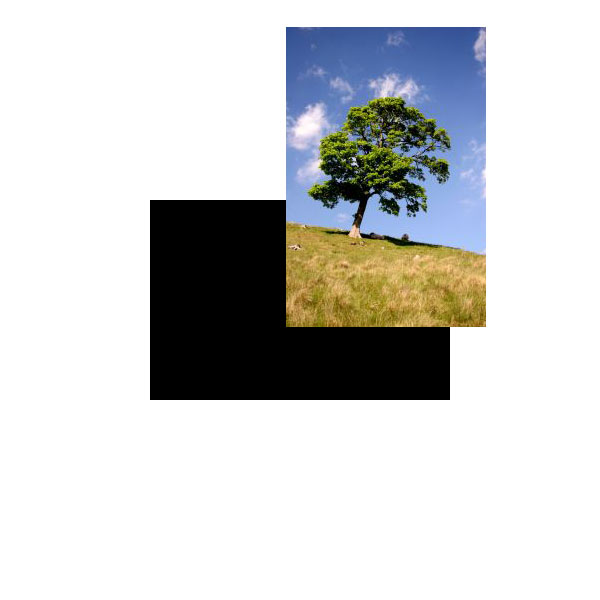 photoshop繪制水彩風格卡通小島_webjxcom