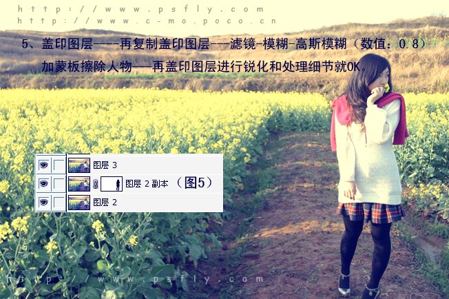 photoshop調(diào)色:暖色調(diào)野外鄉(xiāng)村風景