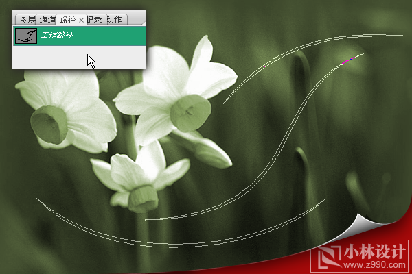 photoshop處理照片:花卉照片添加光線_webjx.com