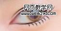 photoshop教程:美女照片仿手繪-webjx.com